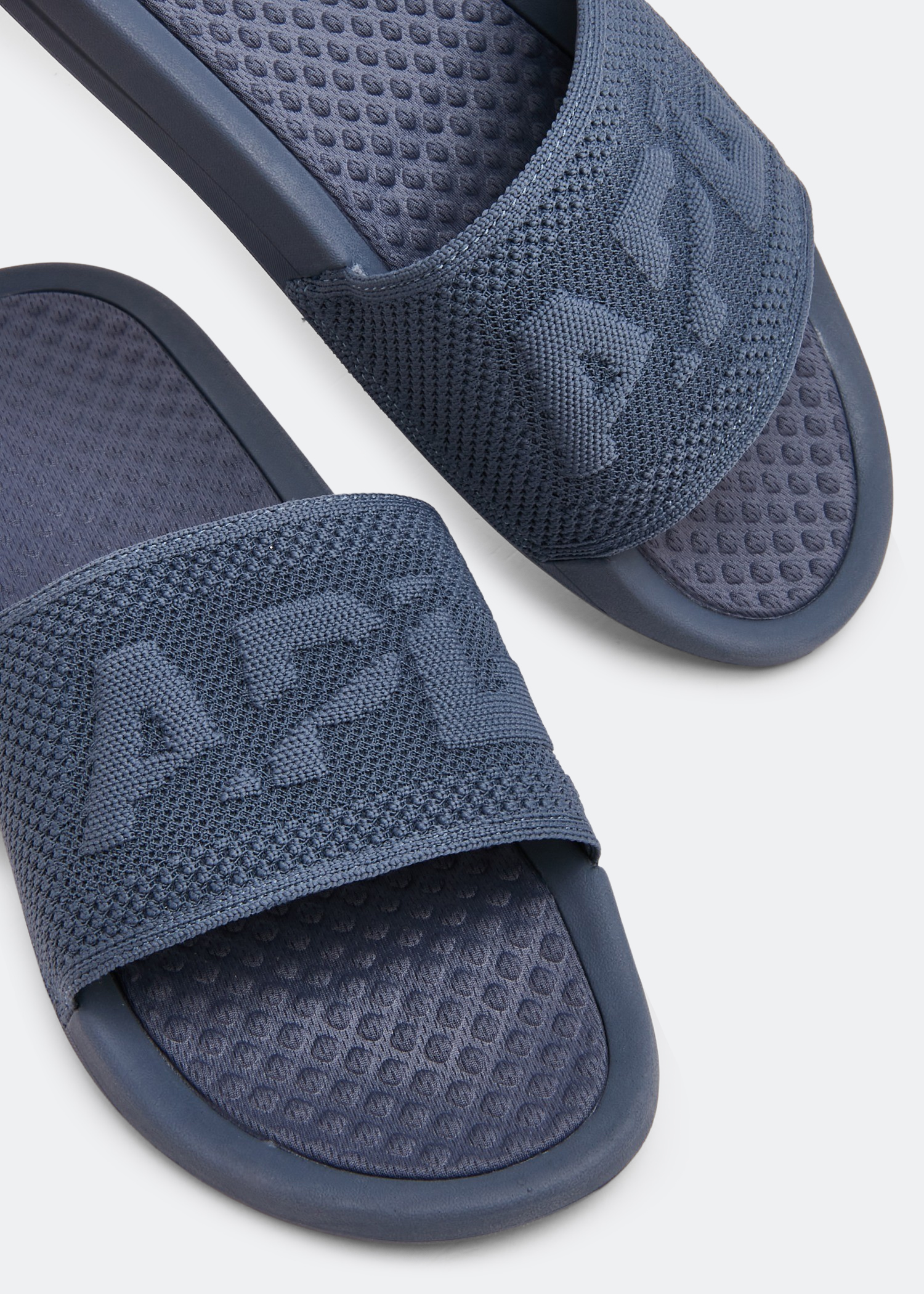 

Big Logo TechLoom slides, Blue