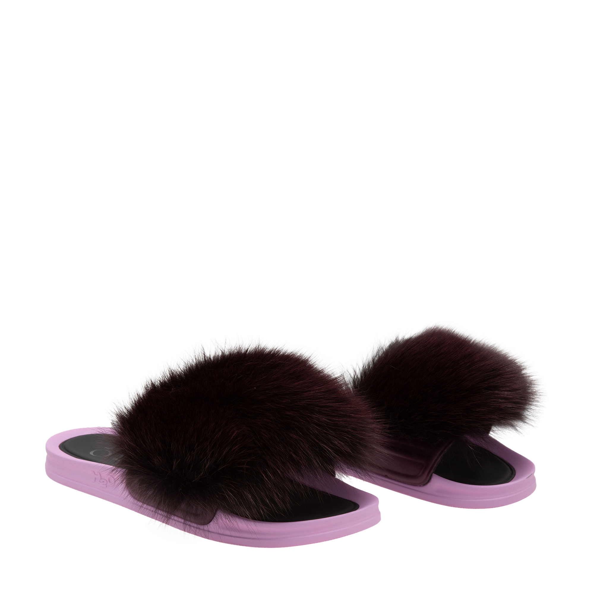 

Foxy Fox slides, Purple