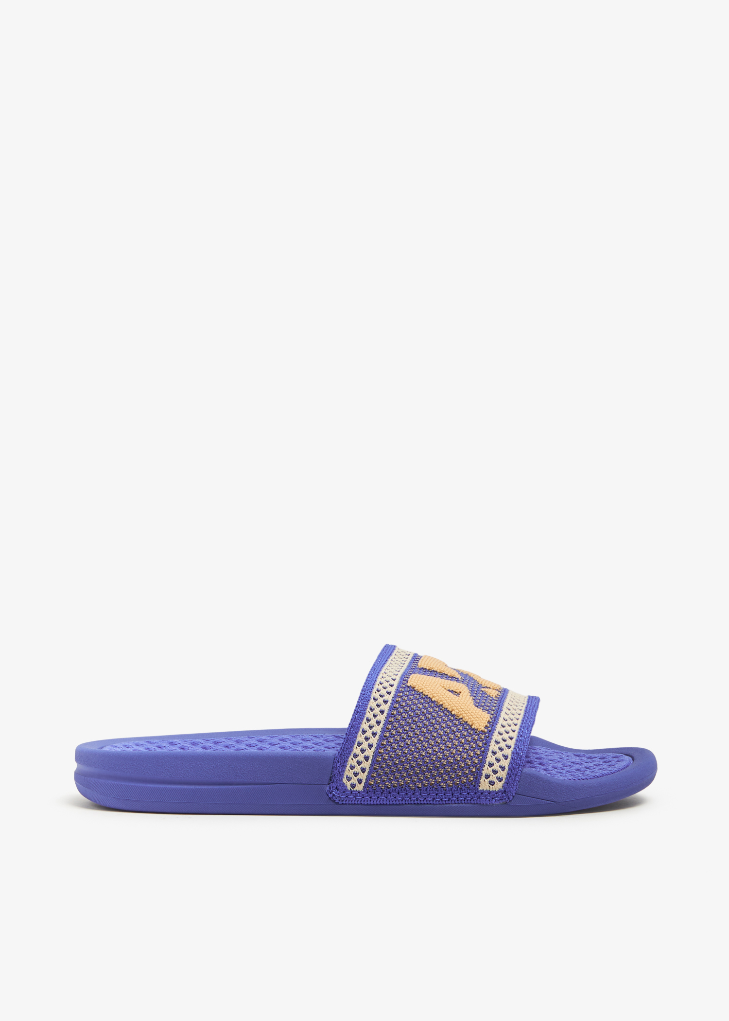 

Big Logo TechLoom slides, Blue