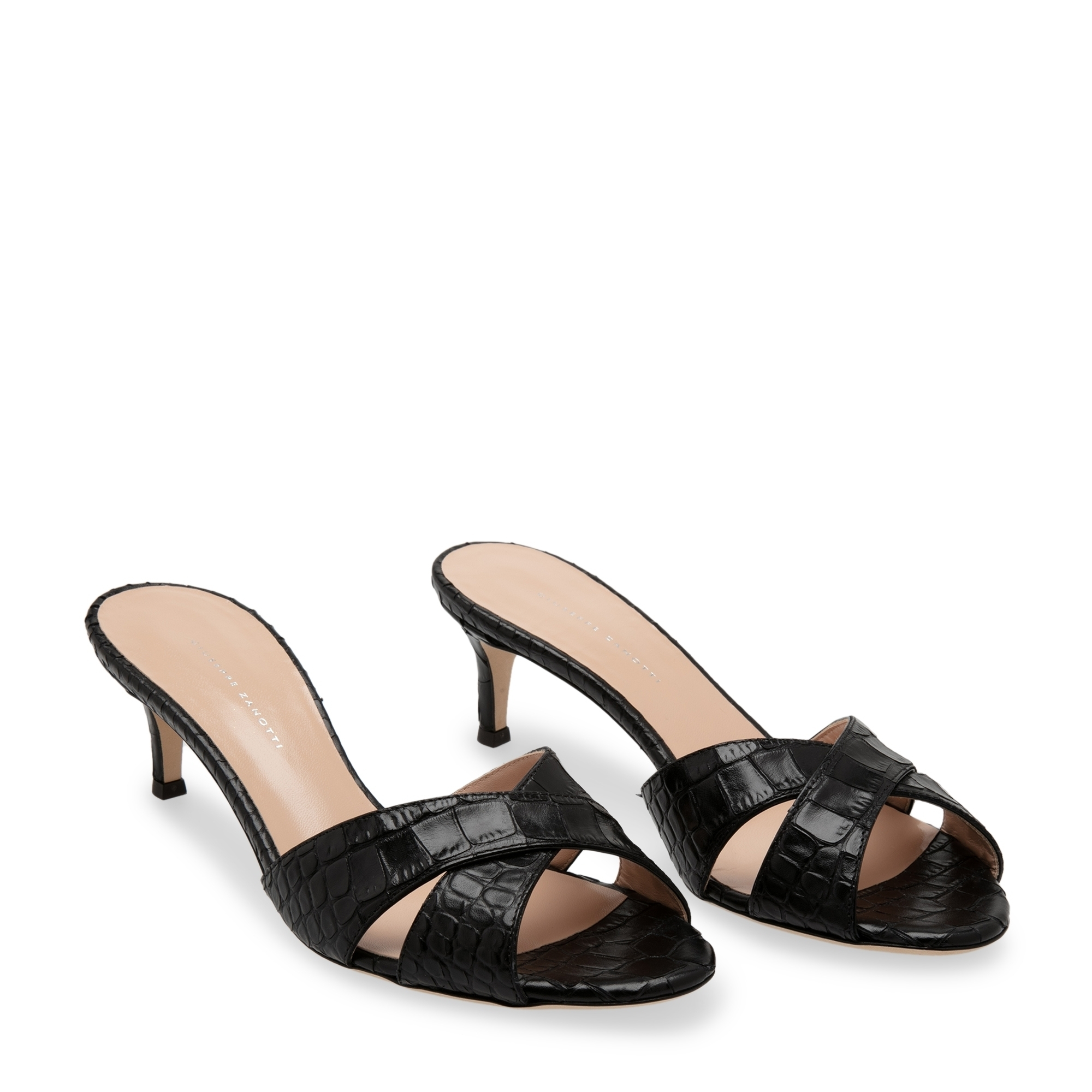 

Zanzaroun mules, Black