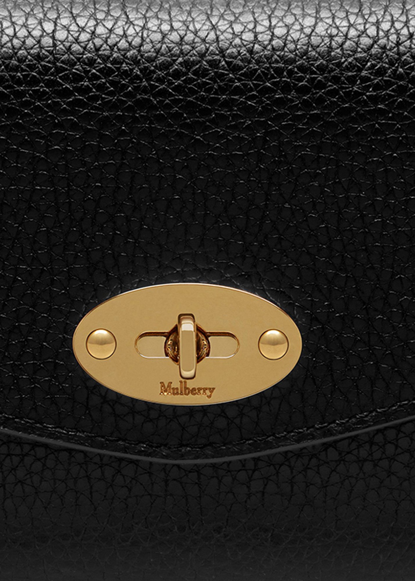 

Medium Darley wallet, Black