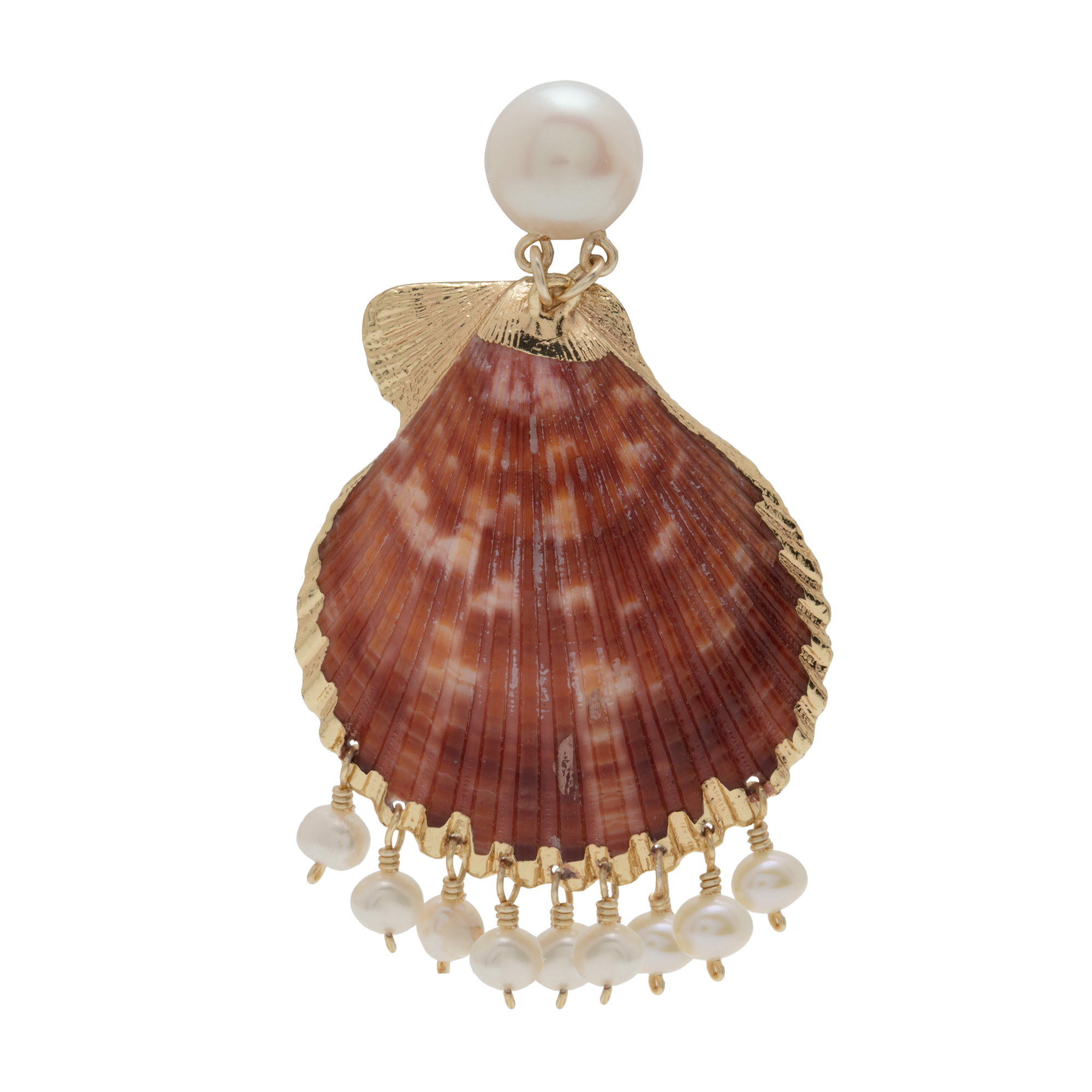 

Seashell earrings, Orange