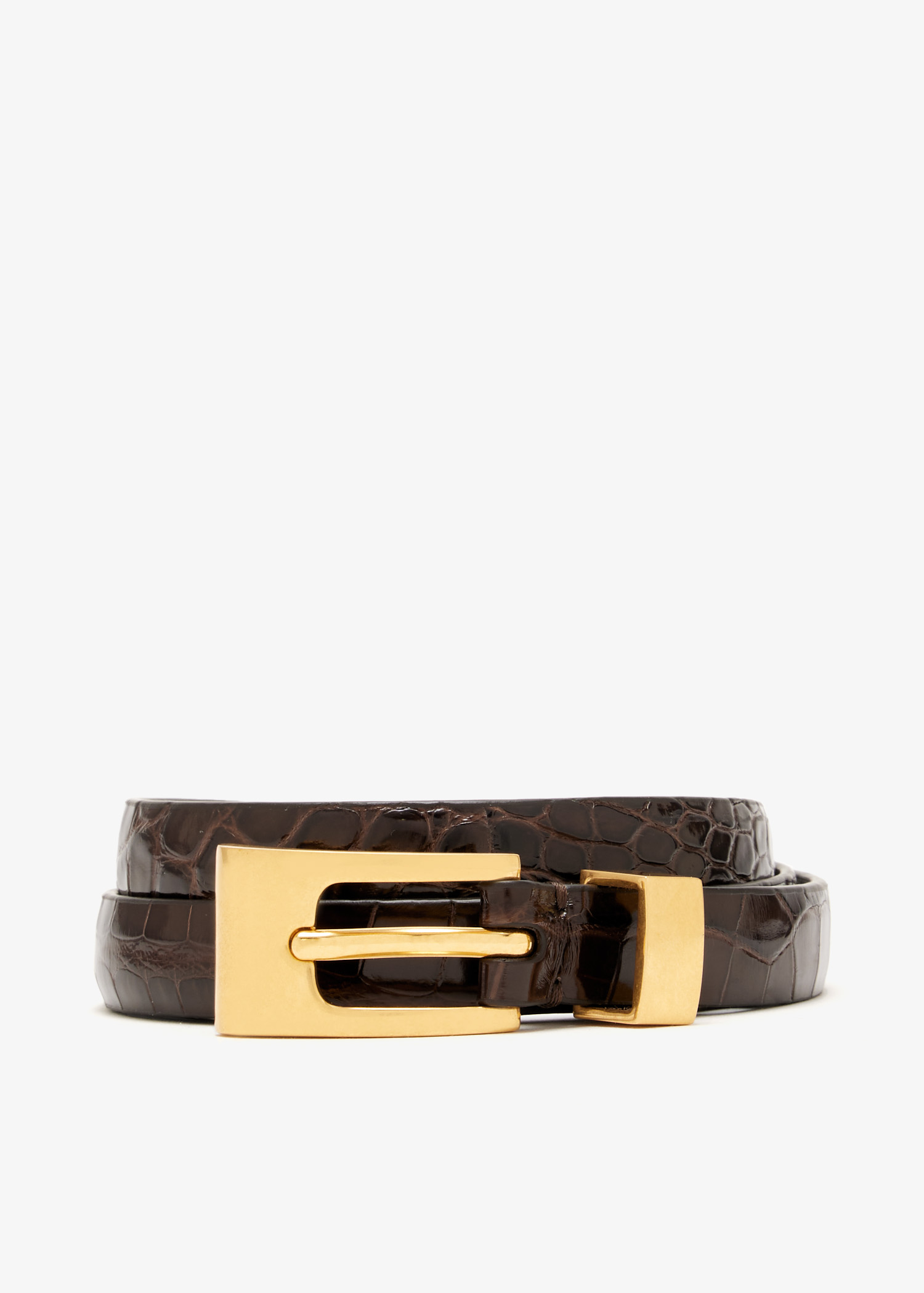 

Downtown belt, Brown